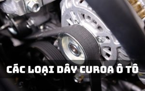 dây curoa ô tô