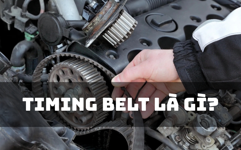 timing belt