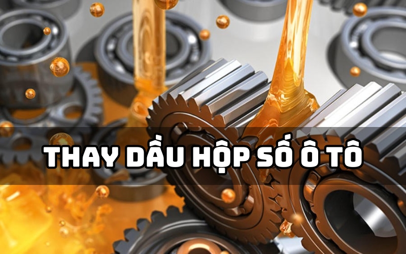 thay dầu hộp số