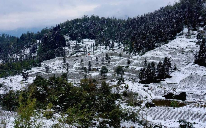 Săn tuyết: Trải nghiệm hiếm có ở Việt Nam