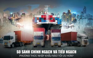 so sánh chính ngạch và tiểu ngạch
