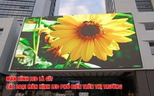 các loại màn hình led