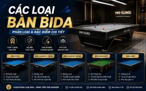 các loại bàn bida